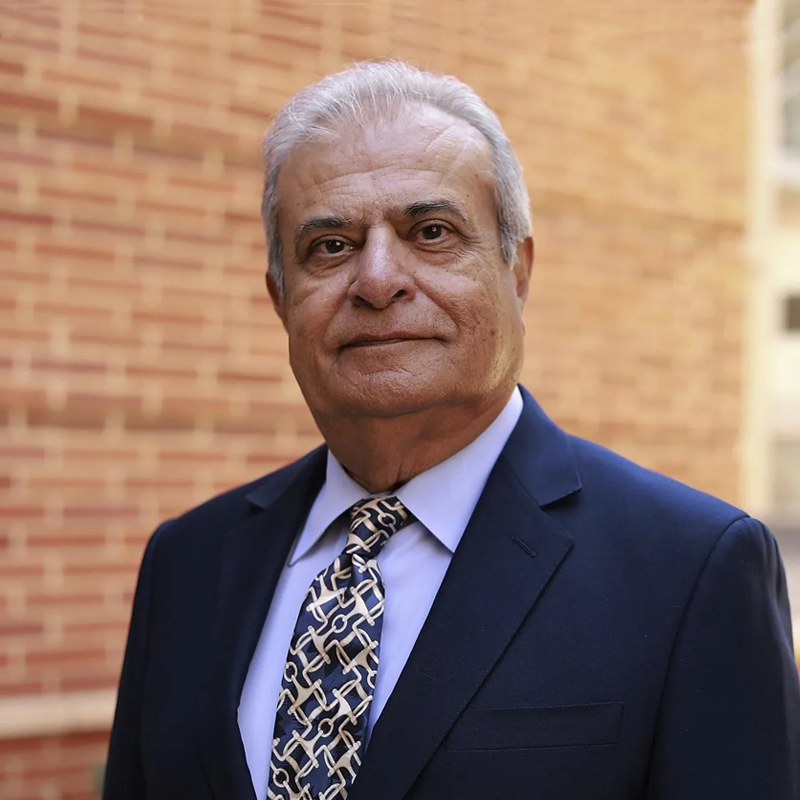 01 Abdallah Shami.png