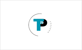 wisual earth limited  LOGO.png