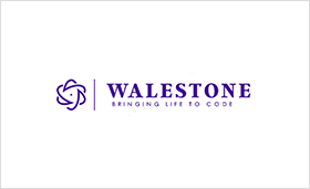 walestone solutions LOGO.png